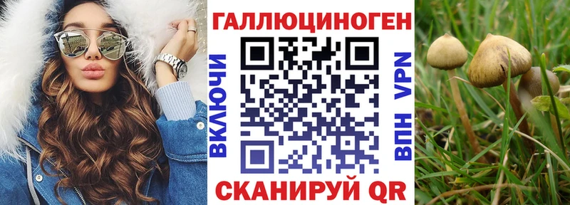 купить  сайты  Узловая  Галлюциногенные грибы ЛСД 